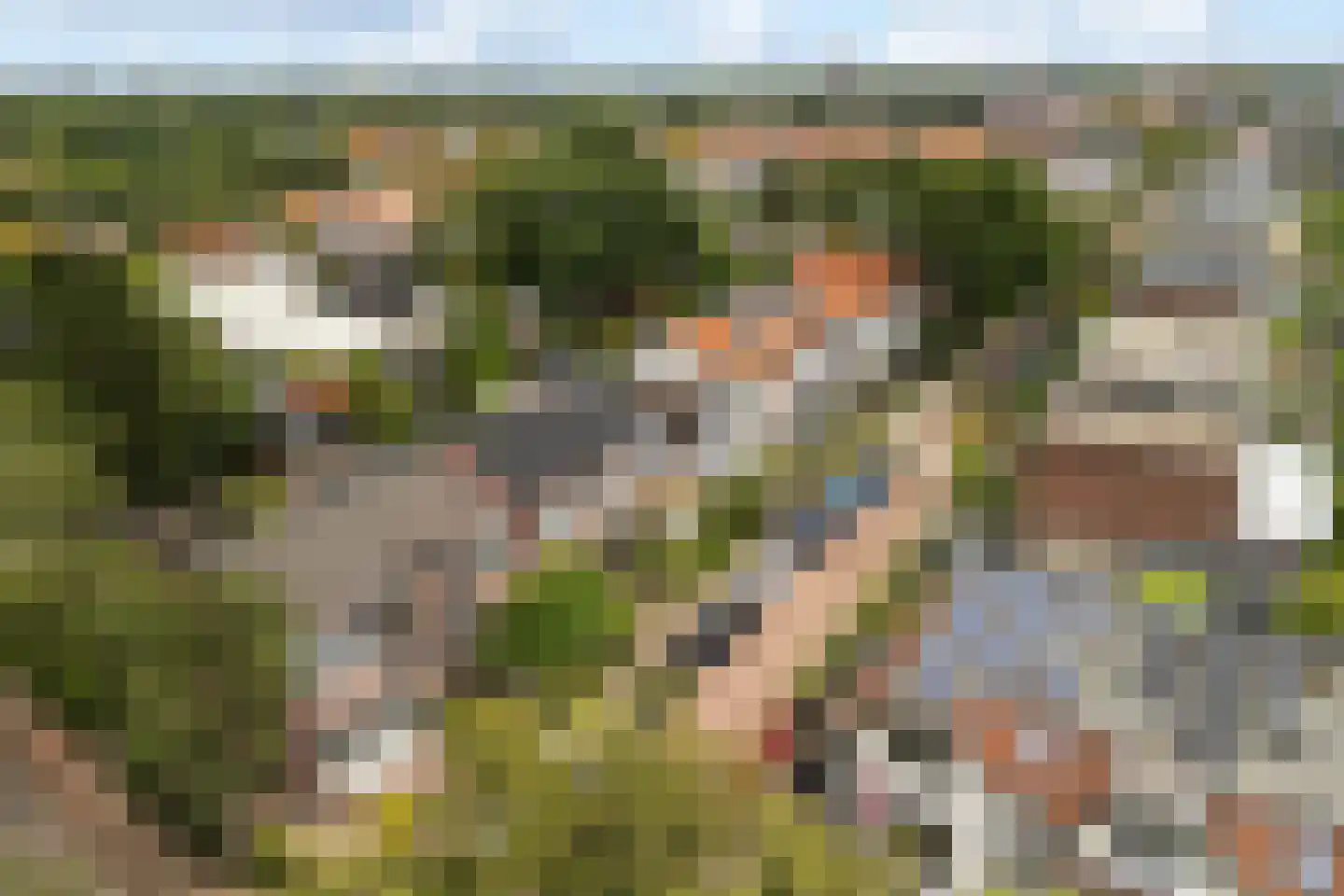 Bothalaan 96 Zeist foto 2