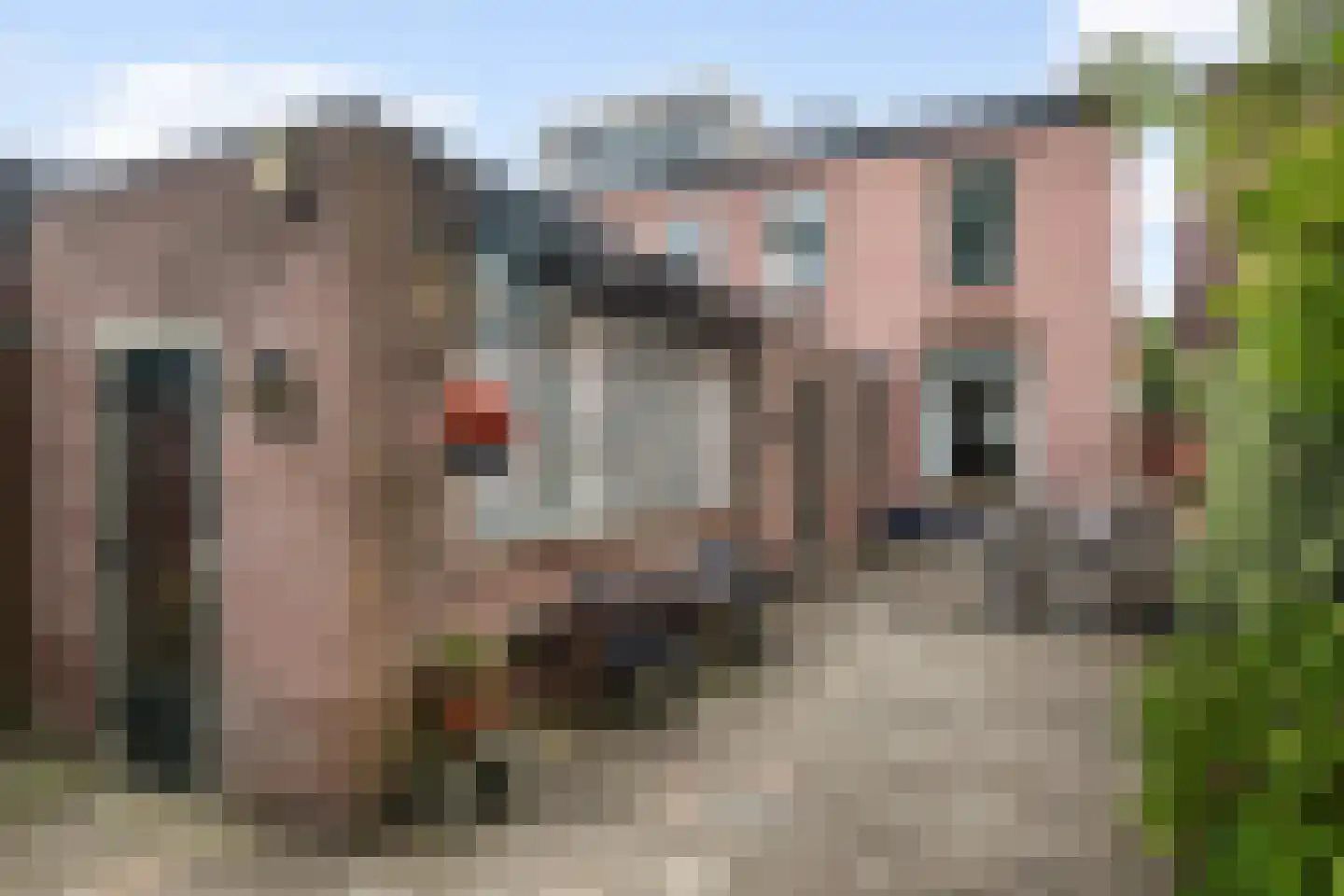 Bothalaan 96 Zeist thumbnail 21