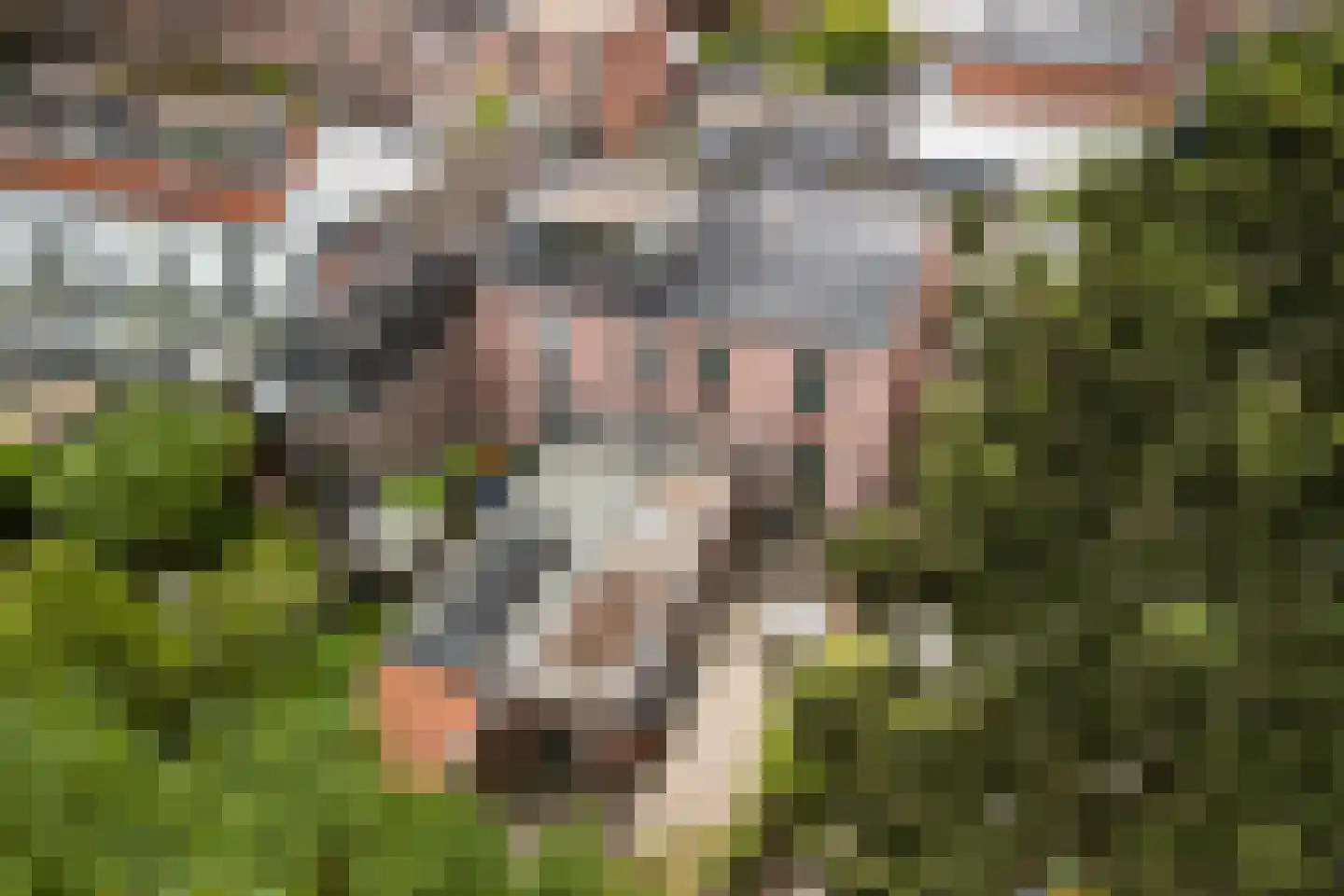 Bothalaan 96 Zeist thumbnail 22
