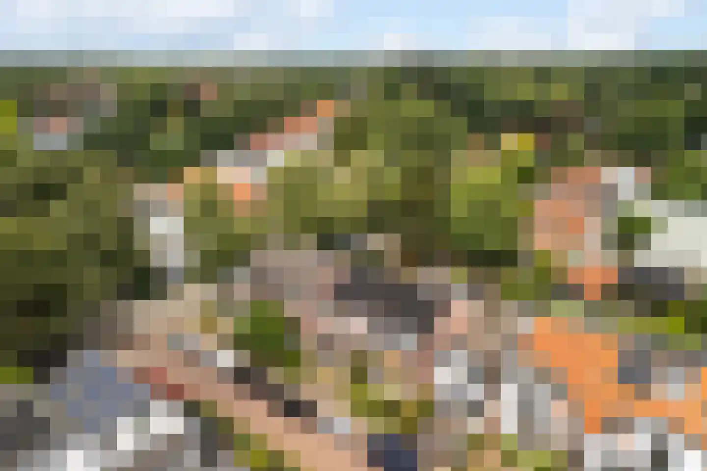 Bothalaan 96 Zeist thumbnail 37
