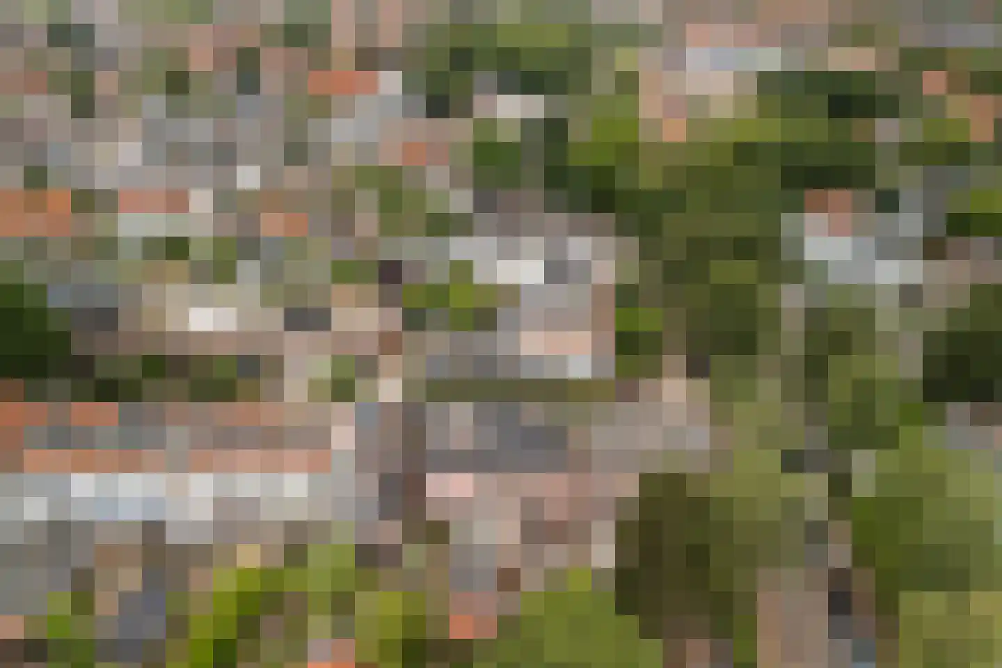 Bothalaan 96 Zeist thumbnail 39