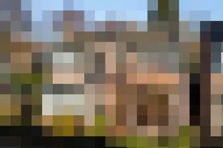 Bothalaan 98 en Zeist