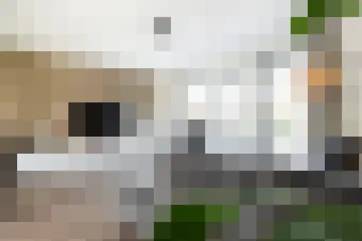 Bothastraat 10 A Breda thumbnail 16