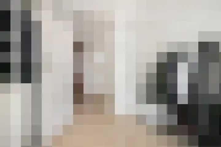 Bothastraat 10 A Breda thumbnail 24