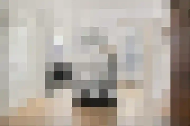 Bothastraat 10 A Breda thumbnail 8
