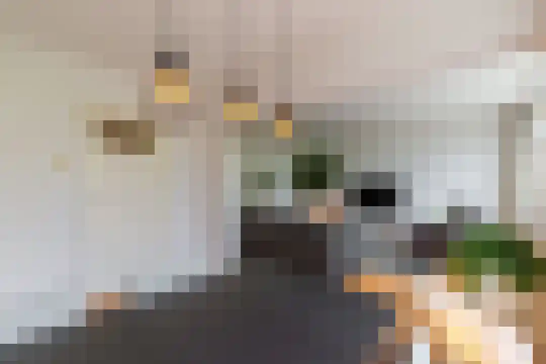 Bothastraat 11 Breda thumbnail 4