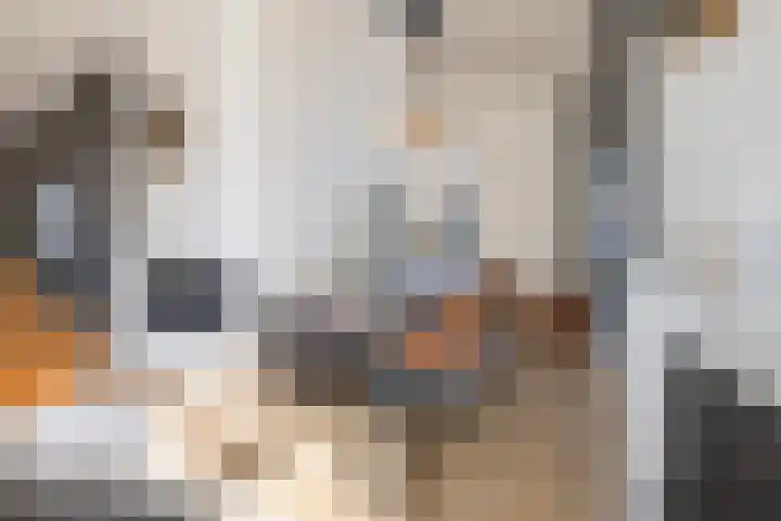 Bothastraat 11 Hengelo thumbnail 15