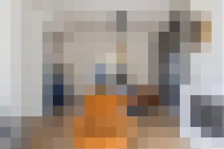 Bothastraat 11 Hengelo thumbnail 16