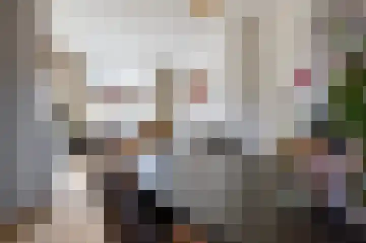 Bothastraat 11 Hengelo thumbnail 17