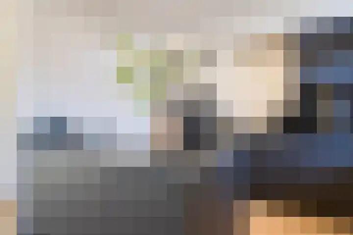 Bothastraat 11 Hengelo thumbnail 21