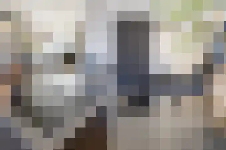 Bothastraat 11 Hengelo thumbnail 22