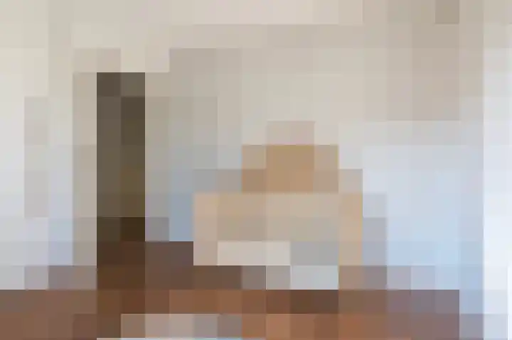 Bothastraat 11 Hengelo thumbnail 31