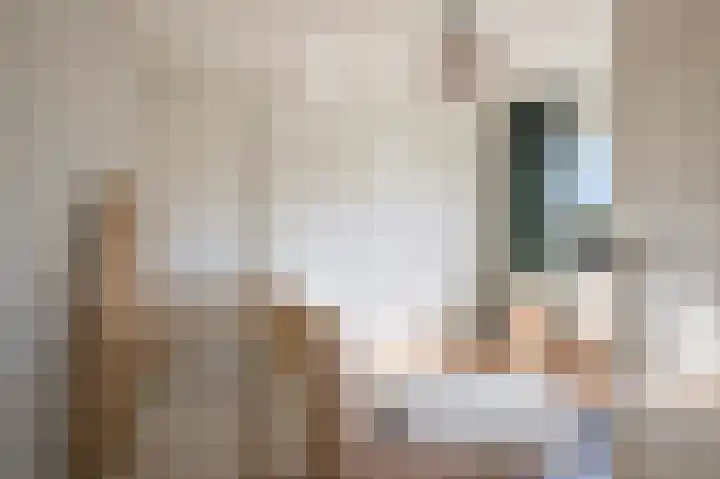 Bothastraat 11 Hengelo thumbnail 33
