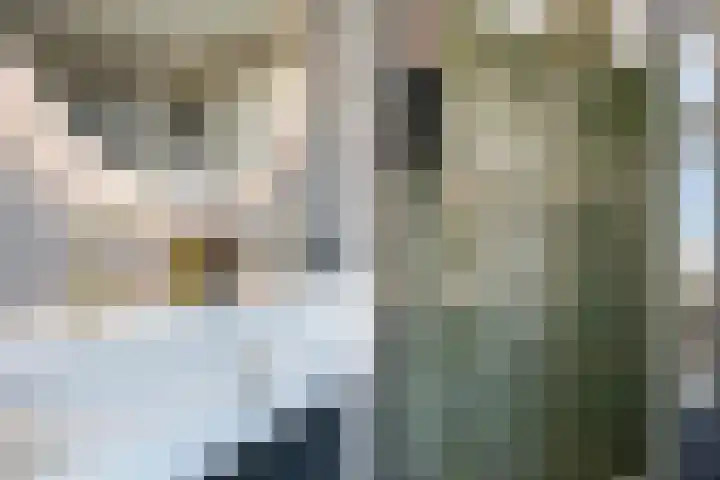 Bothastraat 11 Hengelo thumbnail 41