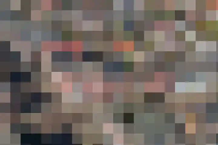 Bothastraat 11 Hengelo thumbnail 42