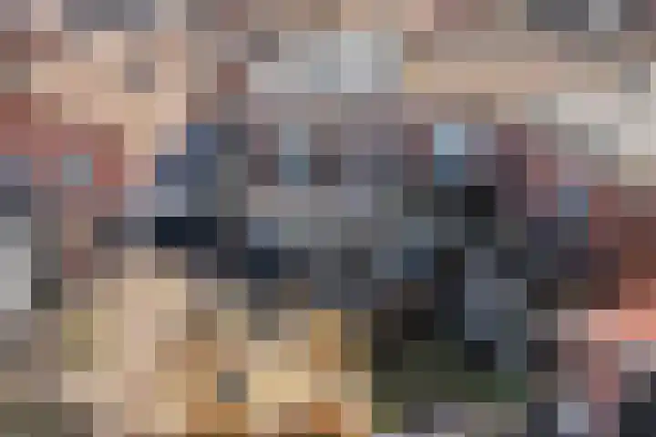Bothastraat 11 Hengelo thumbnail 43