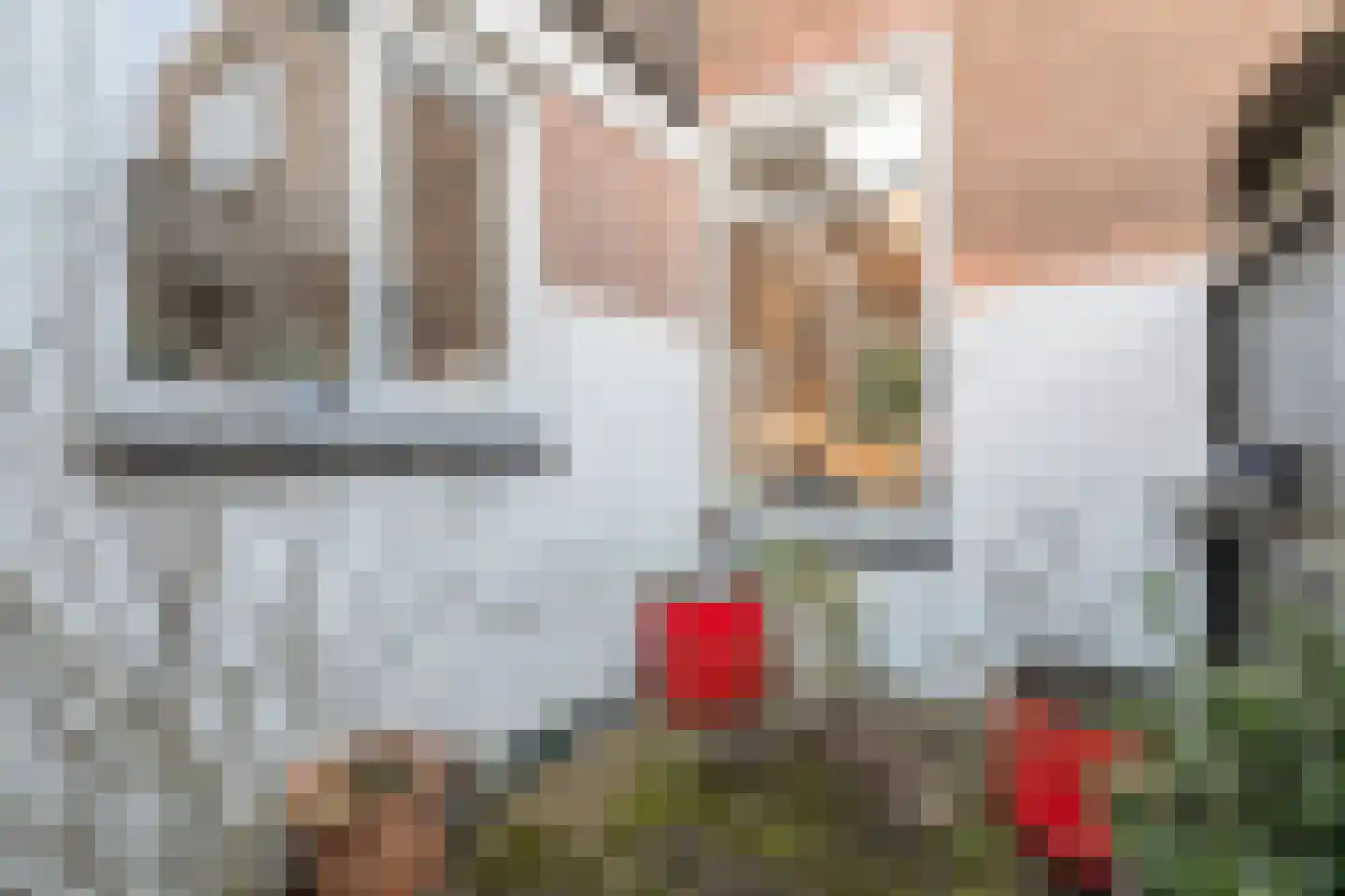 Bothastraat 13 Den Helder thumbnail 16