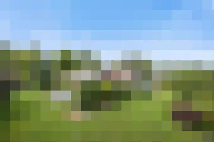 Bothastraat 13 Den Helder thumbnail 17