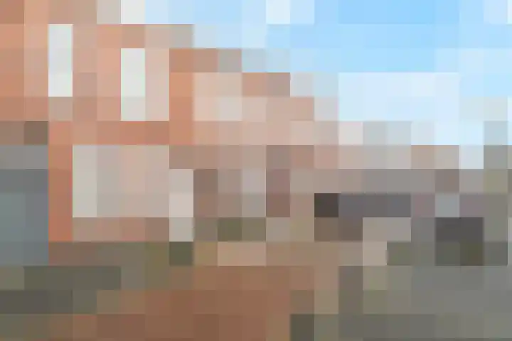 Bothastraat 13 Den Helder foto 2