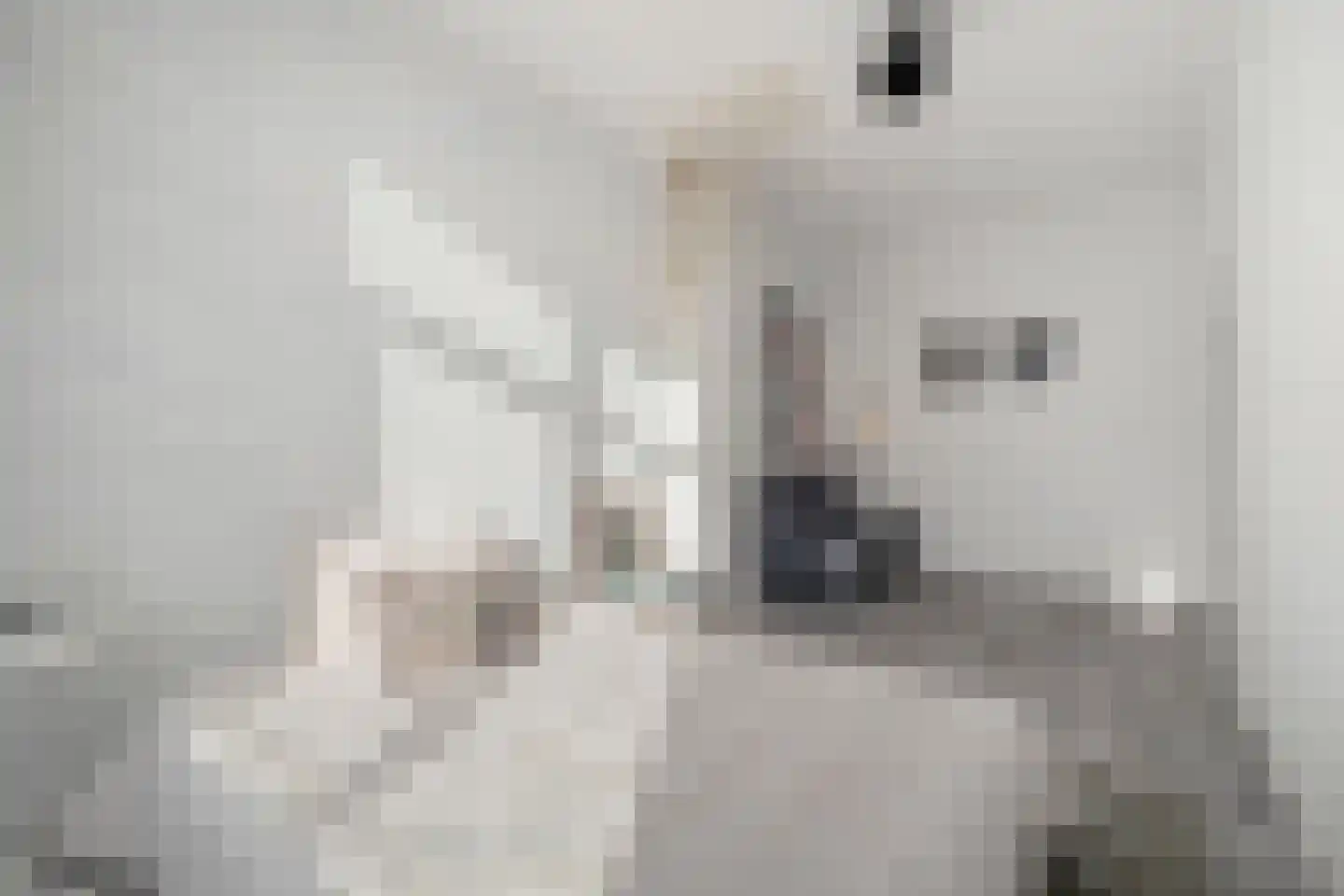 Bothastraat 13 Den Helder thumbnail 22