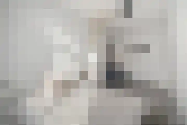 Bothastraat 13 Den Helder thumbnail 22