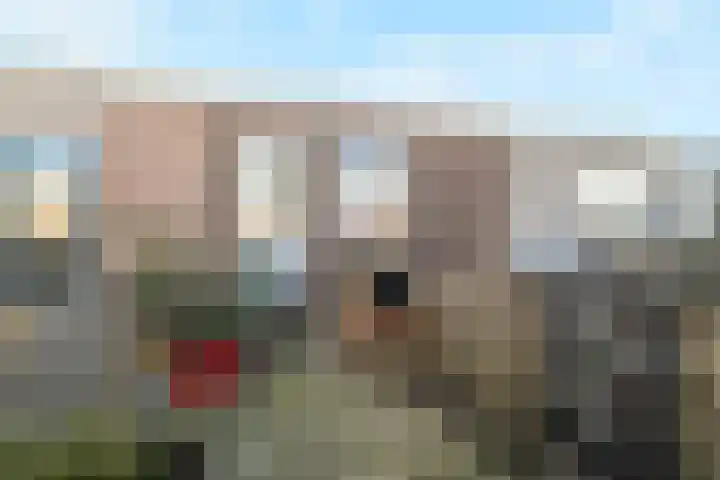 Bothastraat 13 Den Helder thumbnail 26