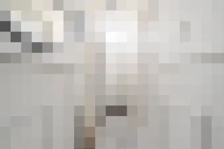 Bothastraat 13 Den Helder thumbnail 4