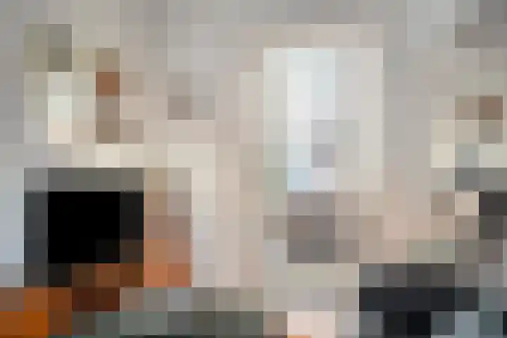 Bothastraat 13 Den Helder thumbnail 8