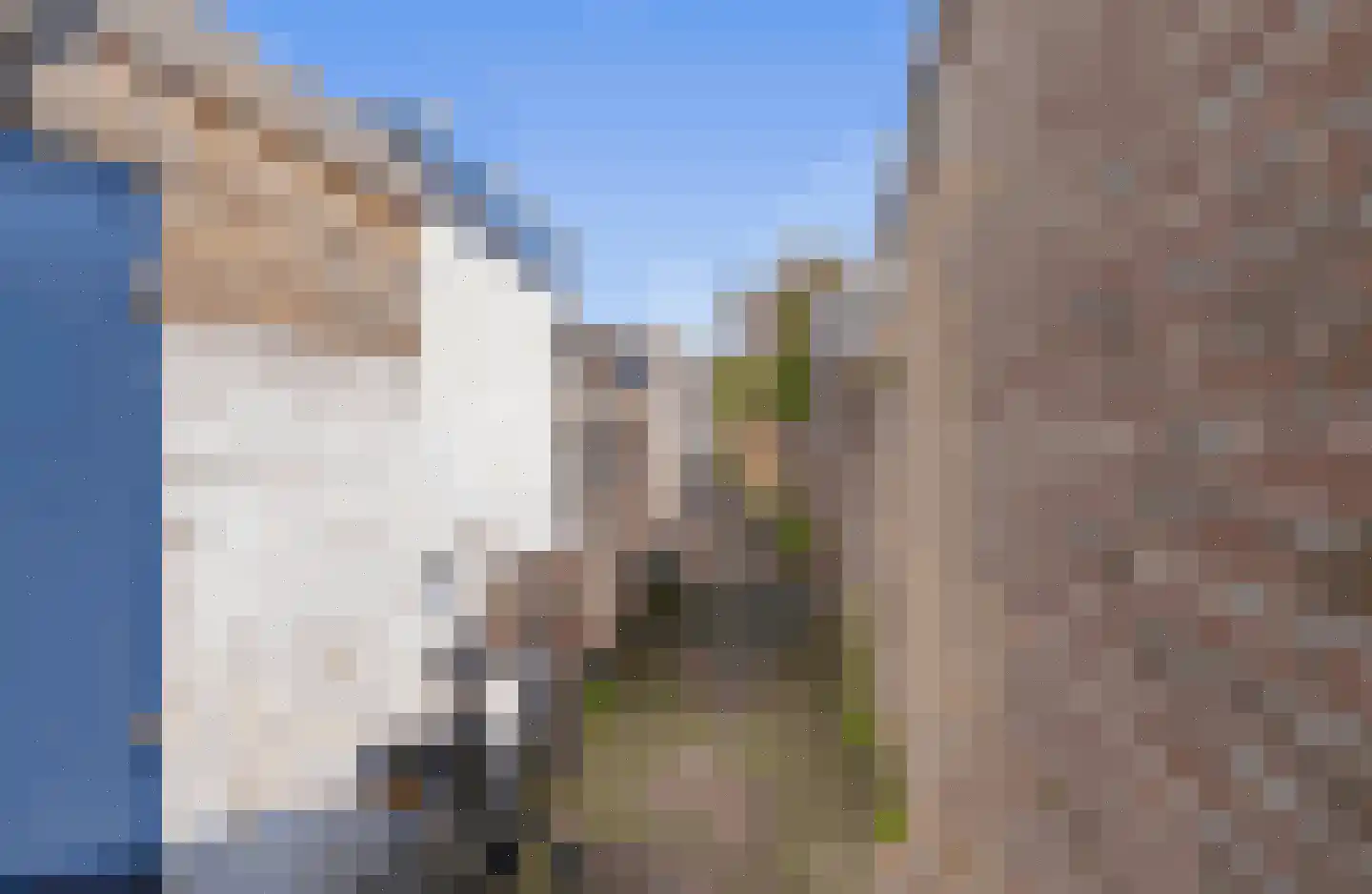 Bothastraat 14 Den Helder thumbnail 14