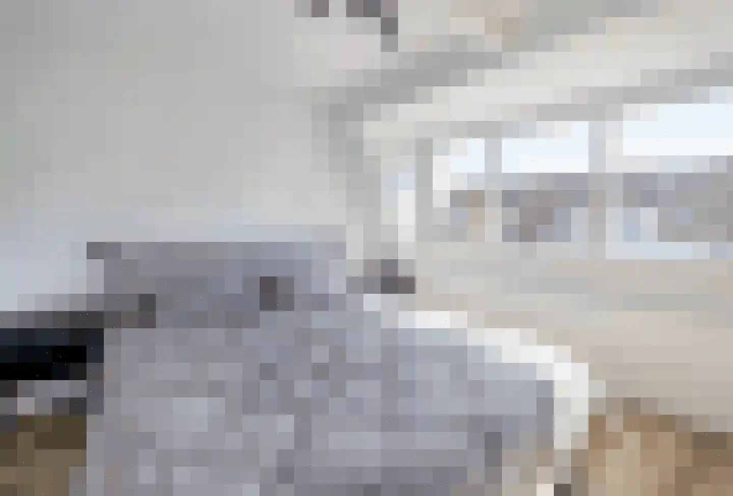 Bothastraat 14 Den Helder thumbnail 18