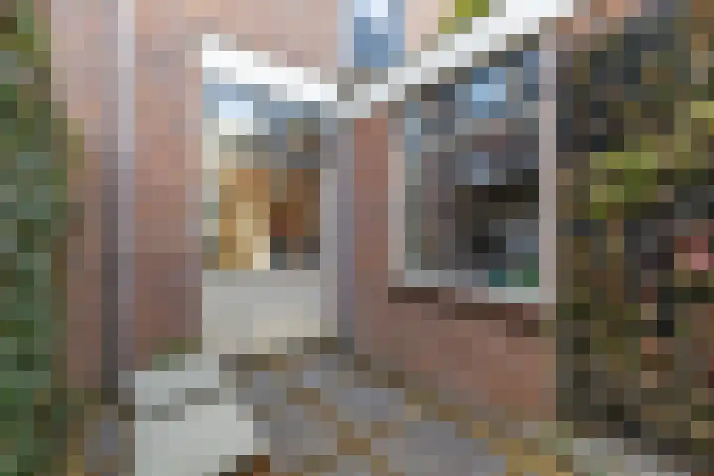 Bothastraat 15 Den Helder thumbnail 16