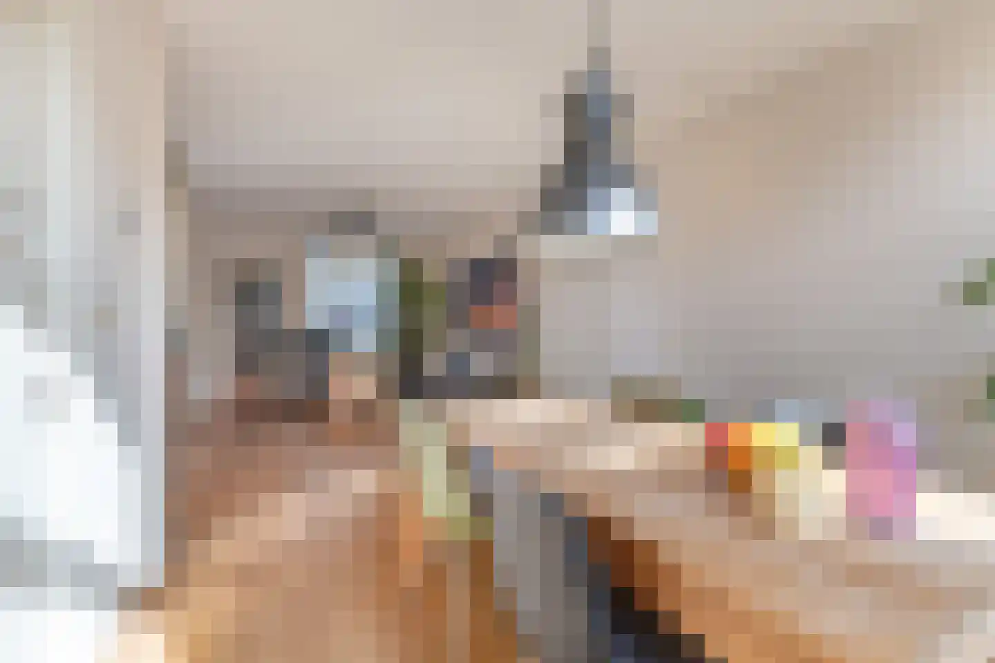 Bothastraat 15 Den Helder thumbnail 4
