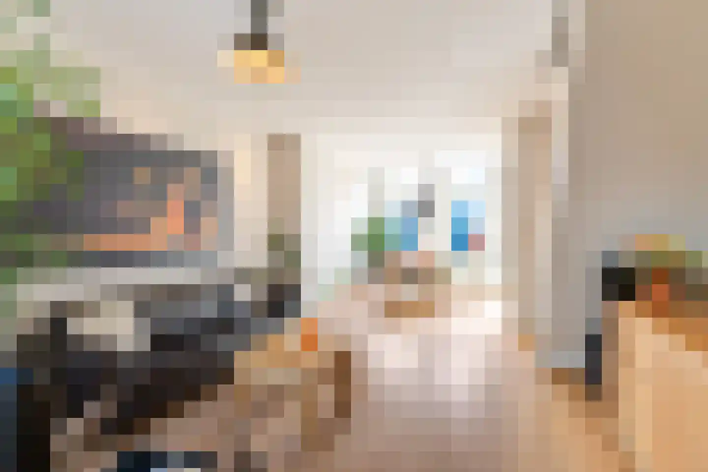 Bothastraat 15 Den Helder thumbnail 9