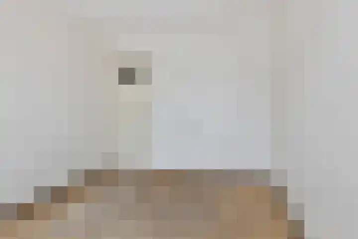 Bothastraat 2 B Breda thumbnail 17