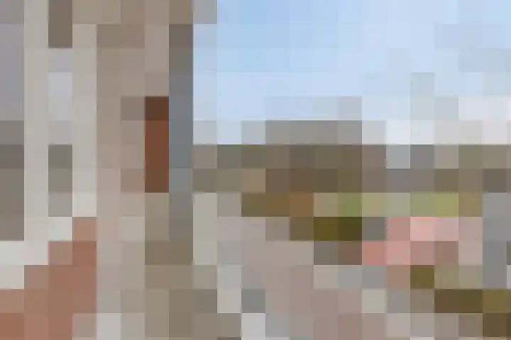 Bothastraat 2 B Breda thumbnail 19