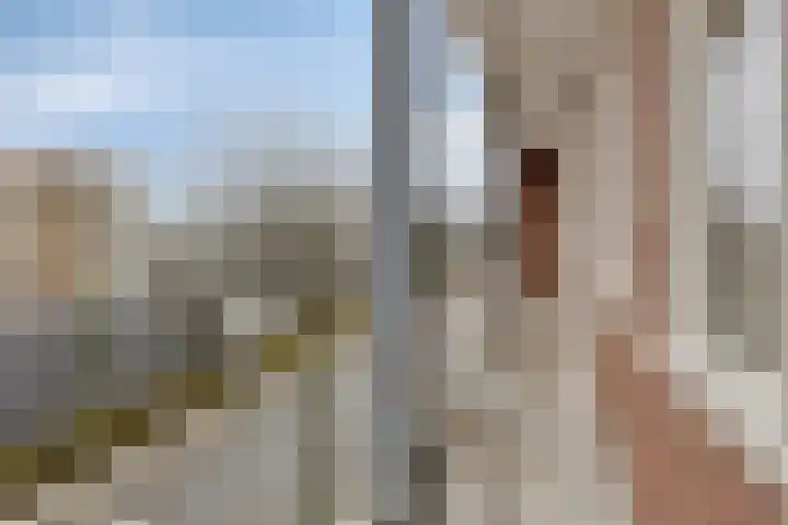 Bothastraat 2 B Breda thumbnail 20