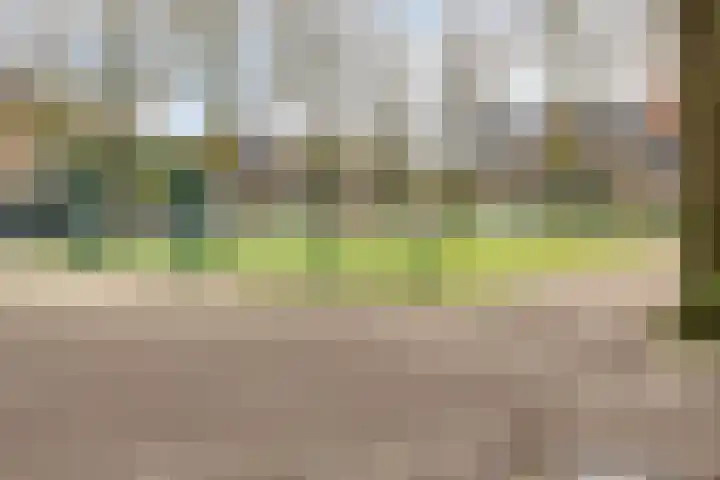 Bothastraat 2 B Breda thumbnail 26
