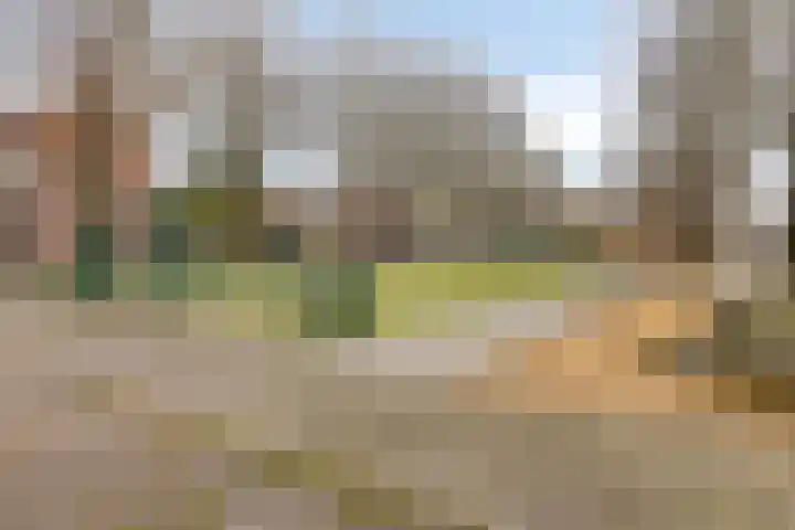 Bothastraat 2 B Breda thumbnail 27