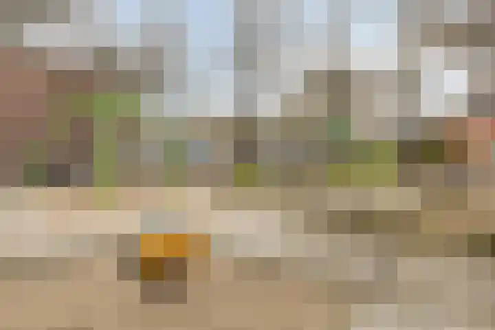 Bothastraat 2 B Breda thumbnail 28