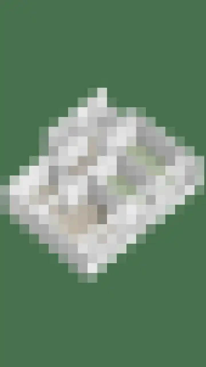 Bothastraat 2 B Breda thumbnail 30