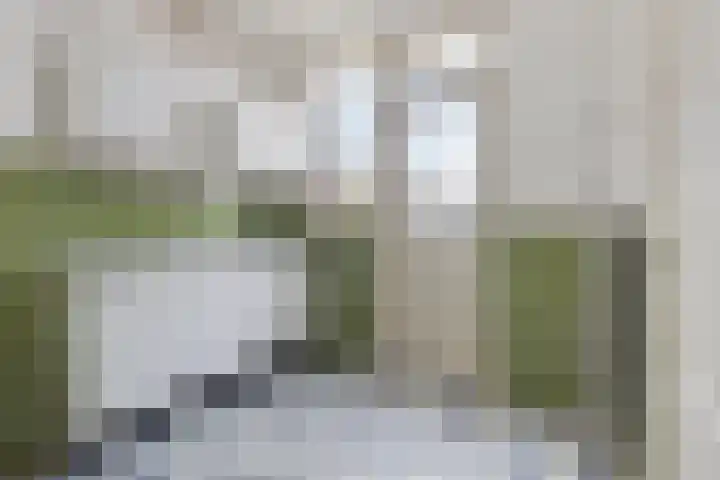 Bothastraat 2 B Breda thumbnail 4