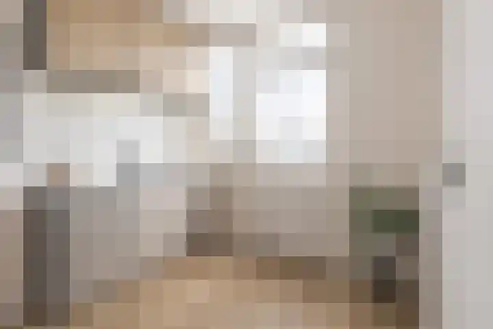 Bothastraat 2 B Breda thumbnail 9