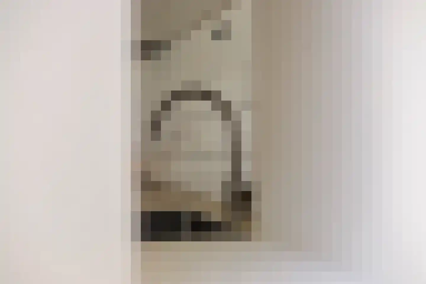 Bothastraat 24 Vaassen thumbnail 15