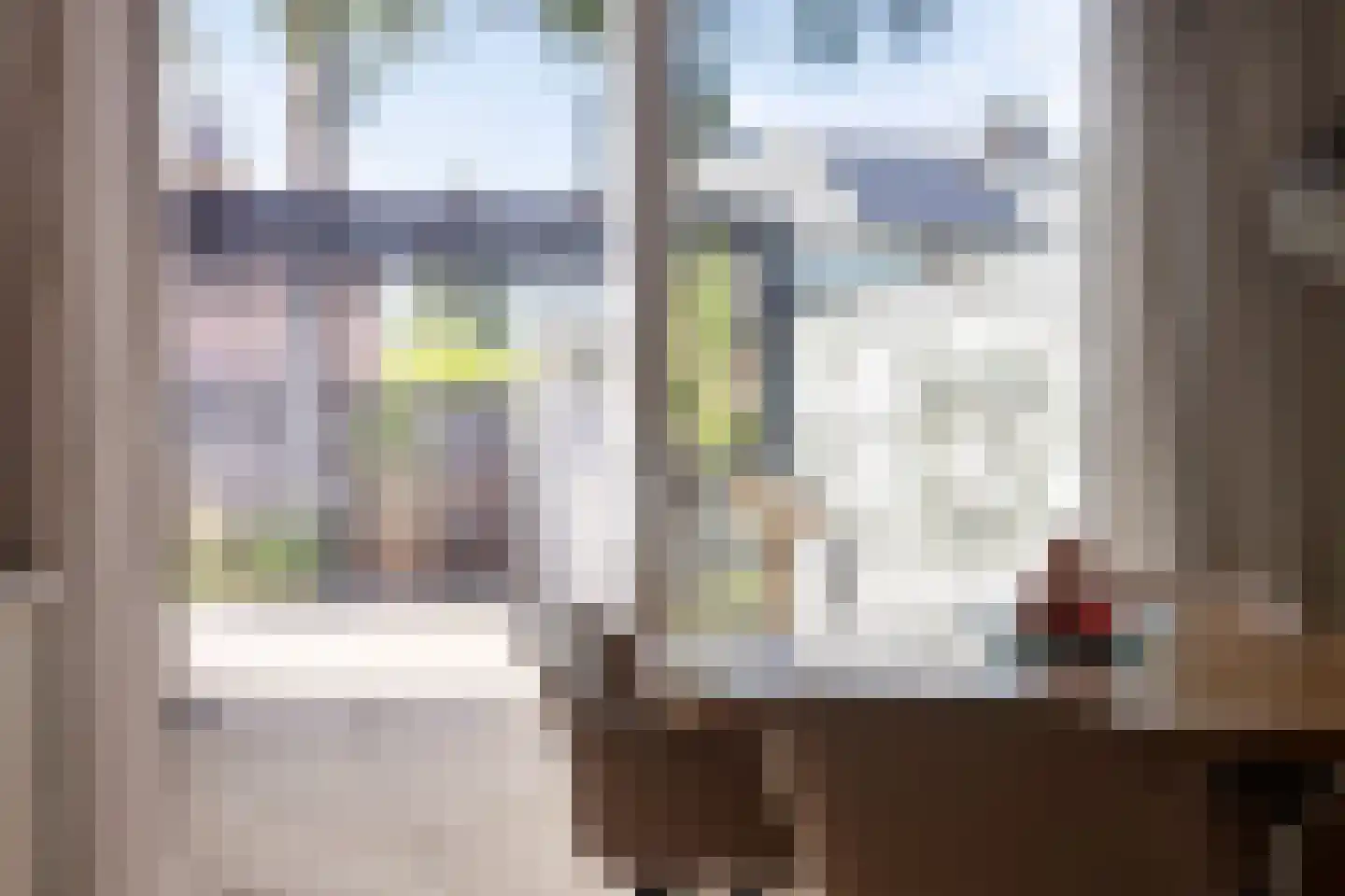 Bothastraat 24 Vaassen thumbnail 18