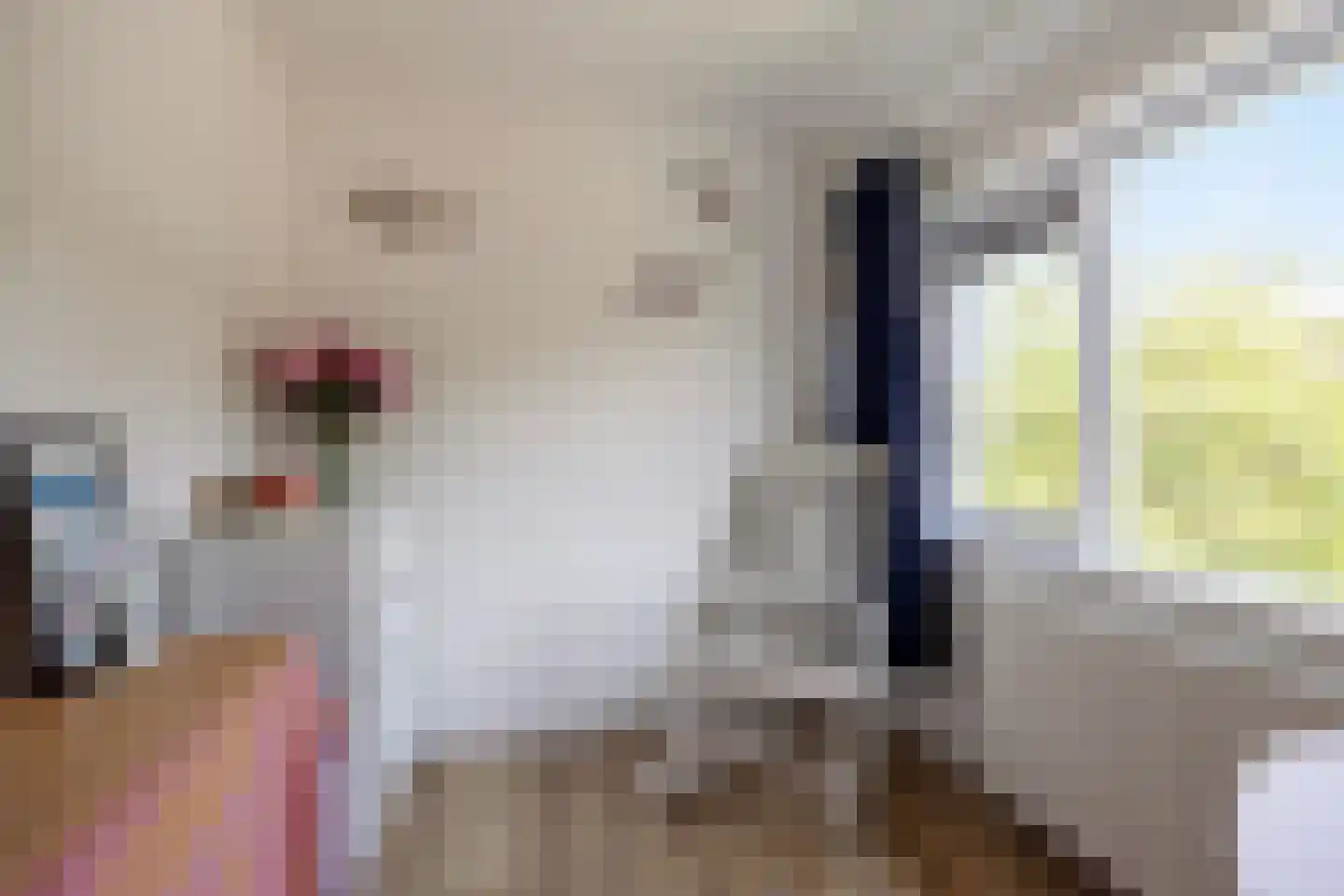 Bothastraat 24 Vaassen thumbnail 23
