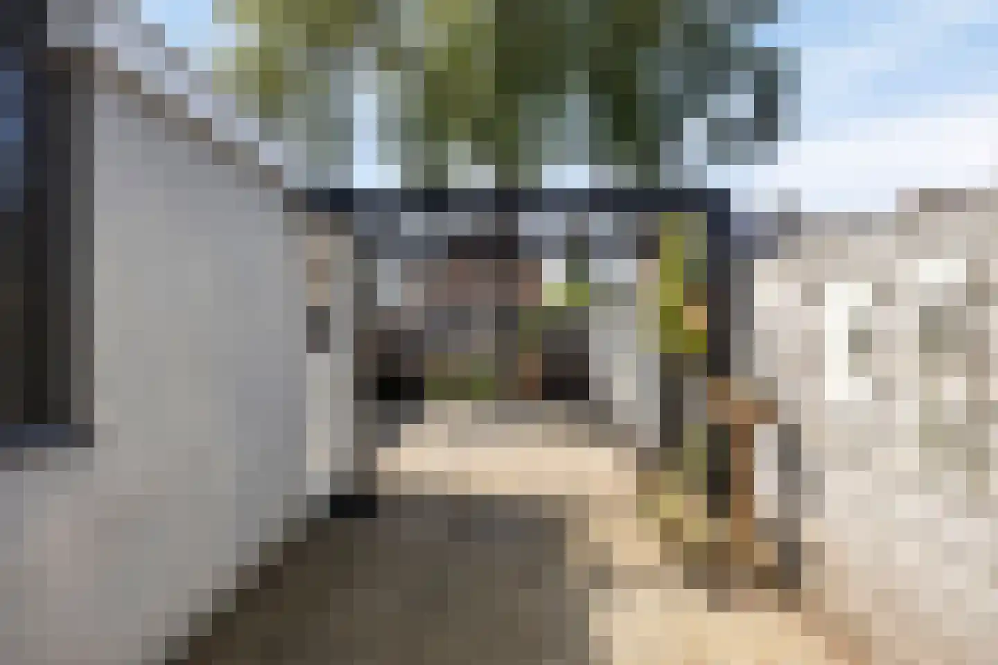 Bothastraat 24 Vaassen thumbnail 29