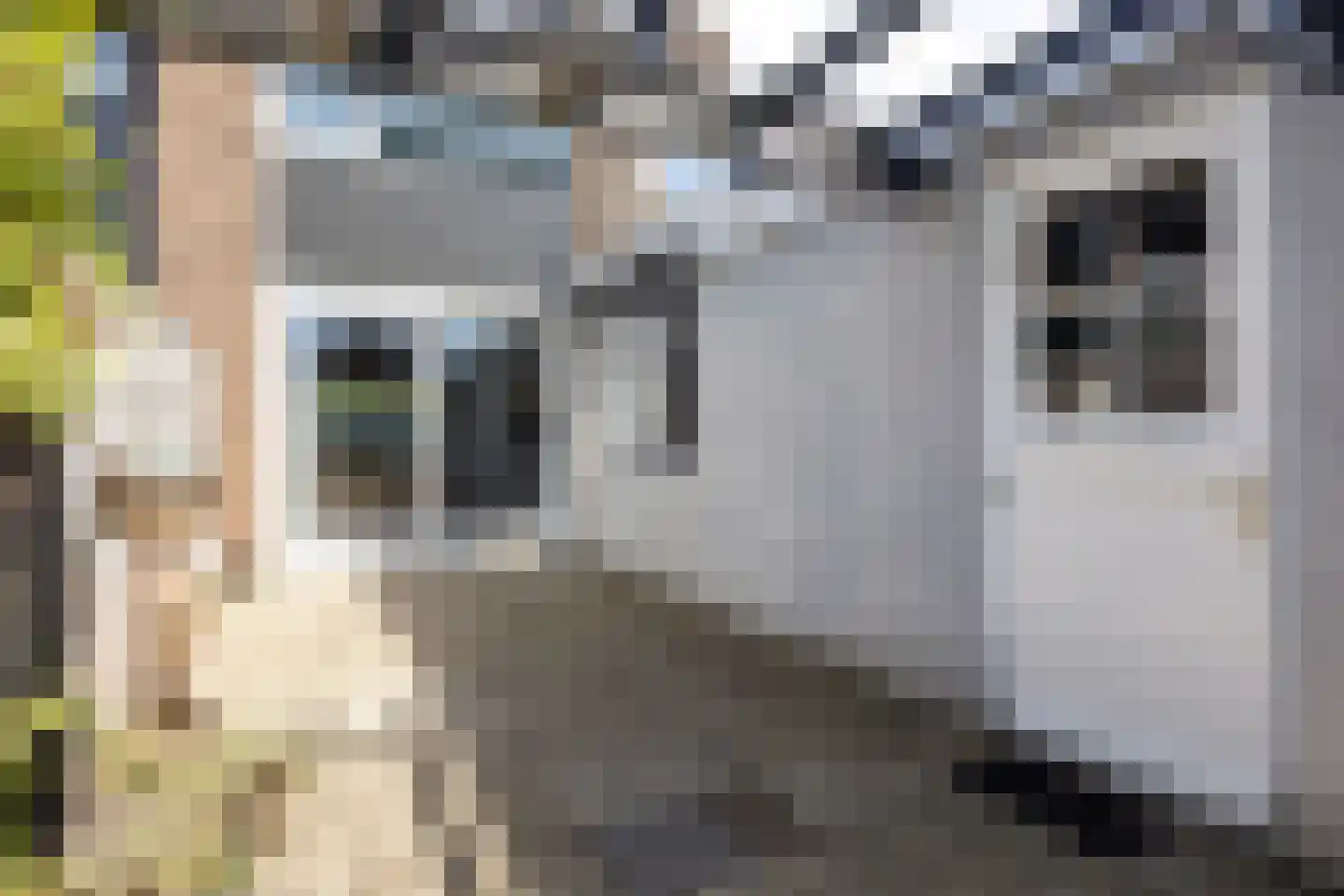 Bothastraat 24 Vaassen thumbnail 32