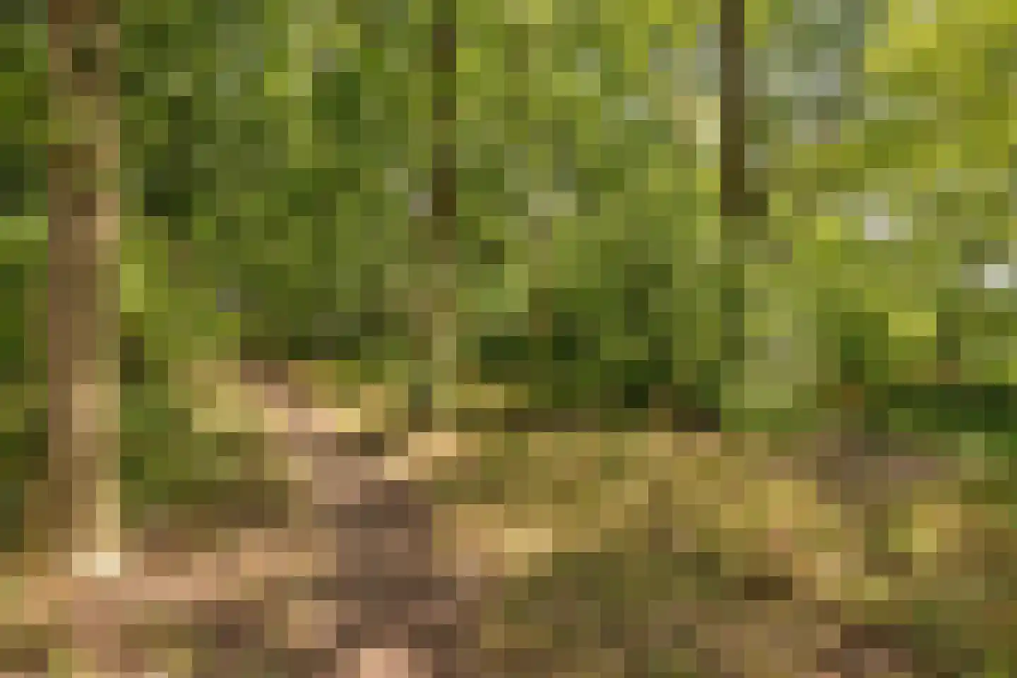 Bothastraat 24 Vaassen thumbnail 36