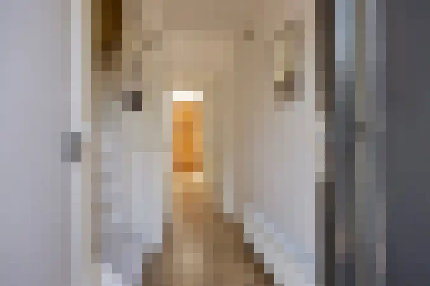 Bothastraat 24 Vaassen thumbnail 4