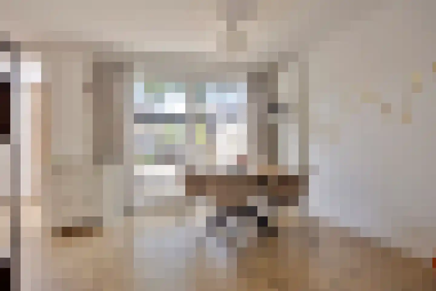 Bothastraat 24 Vaassen thumbnail 9